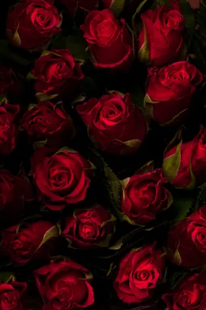 OnlyFans cuenta mydarkfantasea header 2