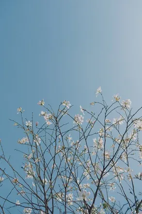 OnlyFans cuenta lalalisa00 header 2