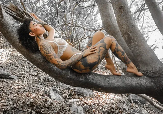OnlyFans cuenta chinart header 2