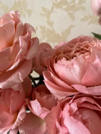 OnlyFans cuenta rozaliiaspielberg header 2