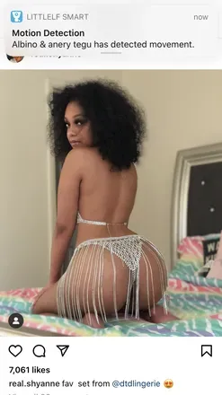 OnlyFans cuenta kashmirethethroatbeast avatar 1