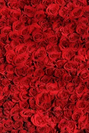 OnlyFans cuenta sexbb header 1