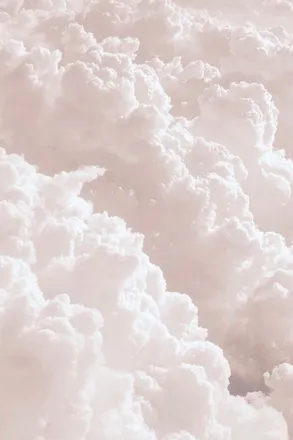 OnlyFans cuenta savageanna header 2