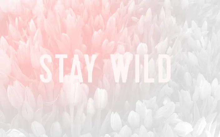 OnlyFans cuenta sweet_wild header 2