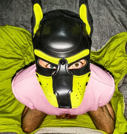 OnlyFans cuenta puppyscampdolph avatar 1