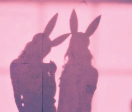 OnlyFans cuenta tscelybunny header 2