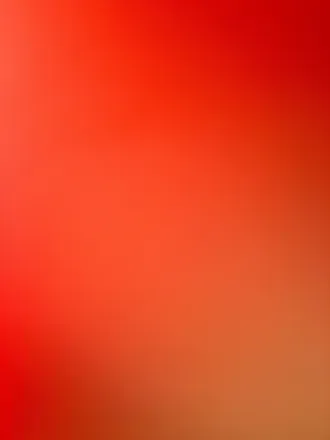OnlyFans cuenta thewholenineyard header 2