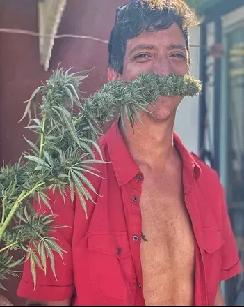 OnlyFans account  mondopp avatar 1