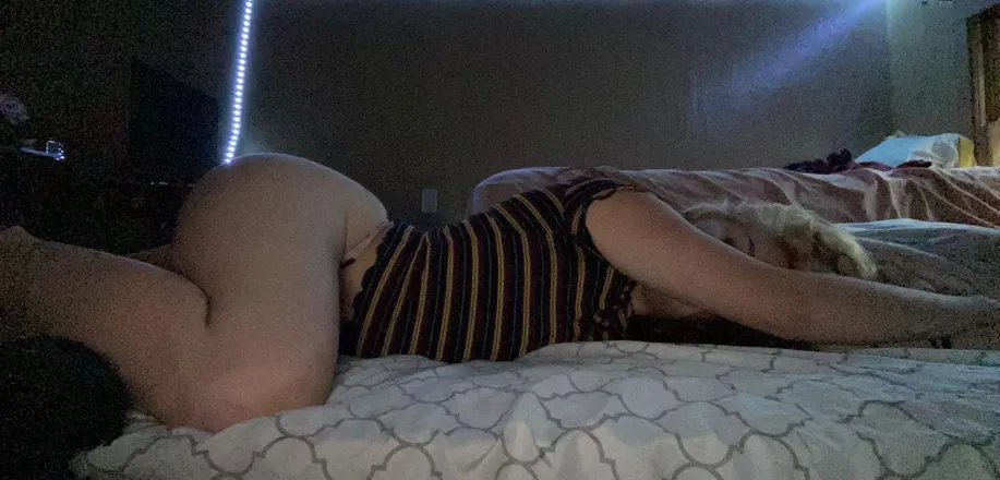 OnlyFans cuenta lavender.kiss header 2