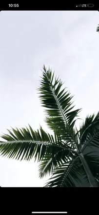 OnlyFans cuenta plantzaddi header 2