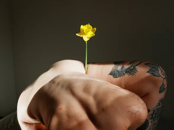 OnlyFans cuenta lilac.wine header 2