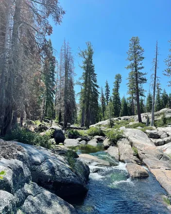 OnlyFans cuenta naturestemptation header 2