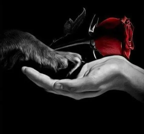 OnlyFans cuenta amandalove1993 header 2