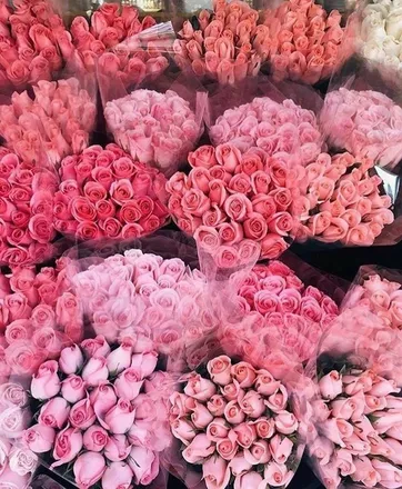 OnlyFans cuenta hoeprincess header 2