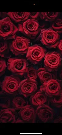 OnlyFans cuenta babyreignxxxx header 1