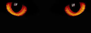 OnlyFans cuenta miabbu header 2