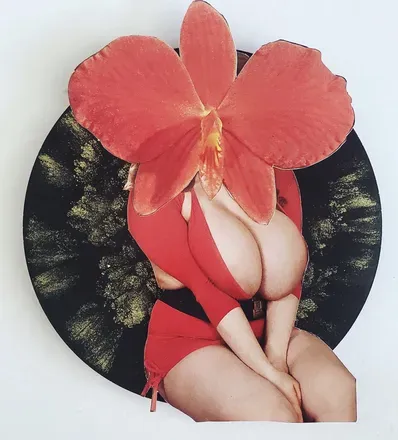 OnlyFans cuenta fineassart avatar 1