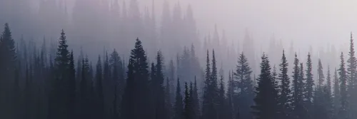 OnlyFans cuenta spookygarnet header 2
