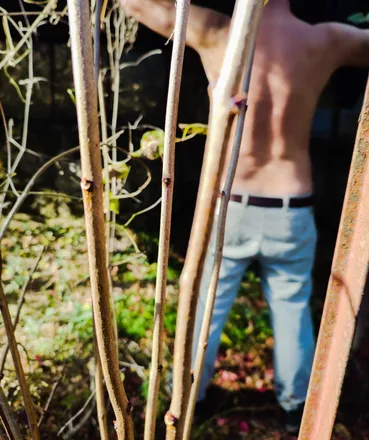 OnlyFans cuenta u230640367 header 2