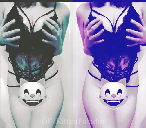 OnlyFans cuenta kittenpaladinfree avatar 1