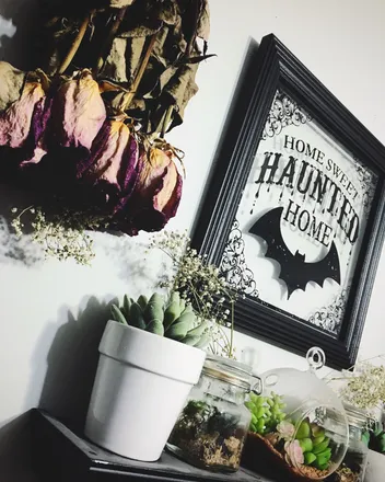 OnlyFans cuenta spookyfeet33 header 2
