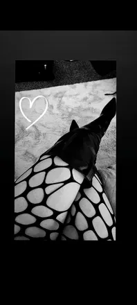 OnlyFans cuenta chantelleivey avatar 1