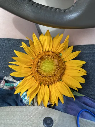 OnlyFans cuenta bbbmmm3838 header 2