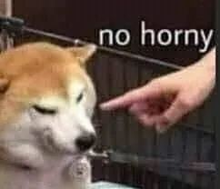 OnlyFans cuenta nestsrls header 2