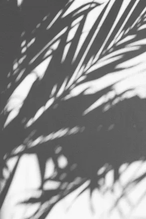 OnlyFans cuenta sur.ra header 2