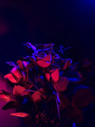 OnlyFans cuenta theafterdarkdiva header 2