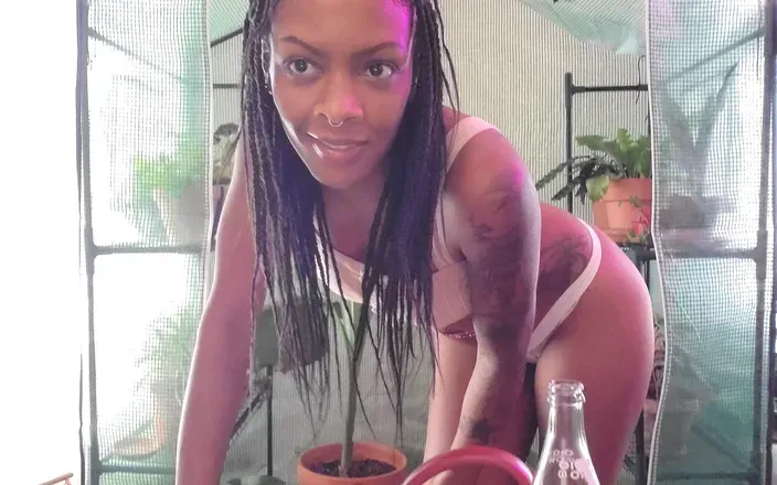 OnlyFans cuenta black_chick_greenthumb avatar 1