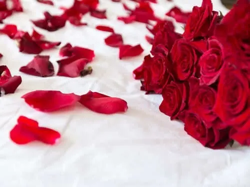 OnlyFans cuenta roseadventures header 2