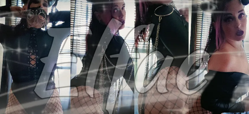 OnlyFans account  elfae header 2
