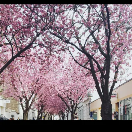 OnlyFans cuenta adoranne header 2