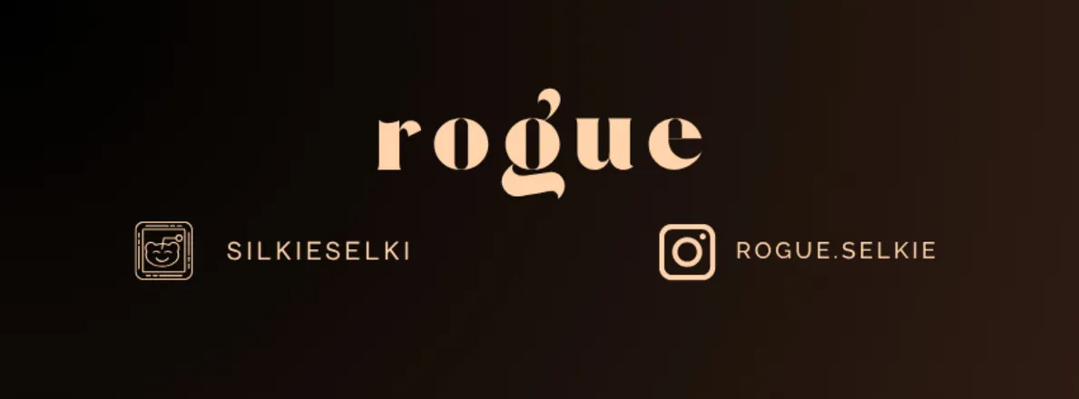 OnlyFans cuenta baroquerogue header 2