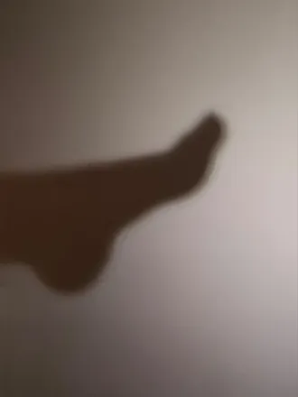 OnlyFans cuenta fourfeetprincess header 2