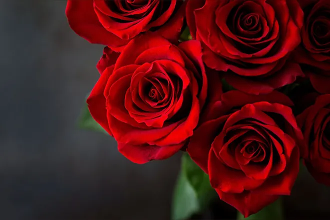OnlyFans cuenta glamhouse header 2