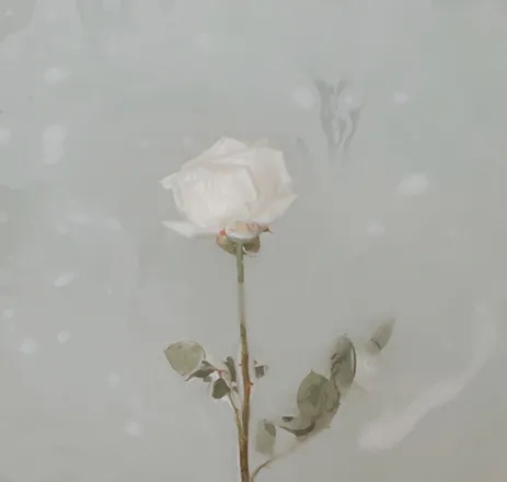 OnlyFans cuenta sofiadeflores header 2