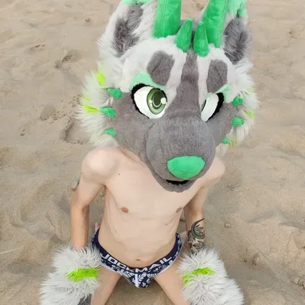 OnlyFans cuenta midorifox avatar 1