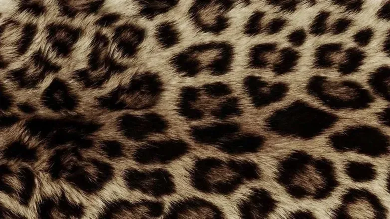 OnlyFans cuenta kitty22xoxo header 2