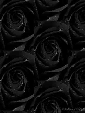 OnlyFans cuenta coricouture header 1