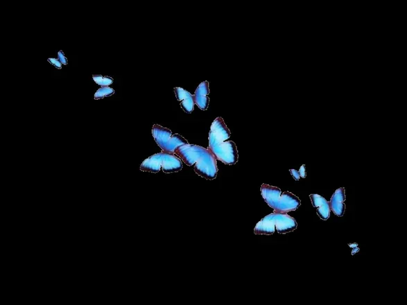 OnlyFans cuenta butterflyvee26 header 2