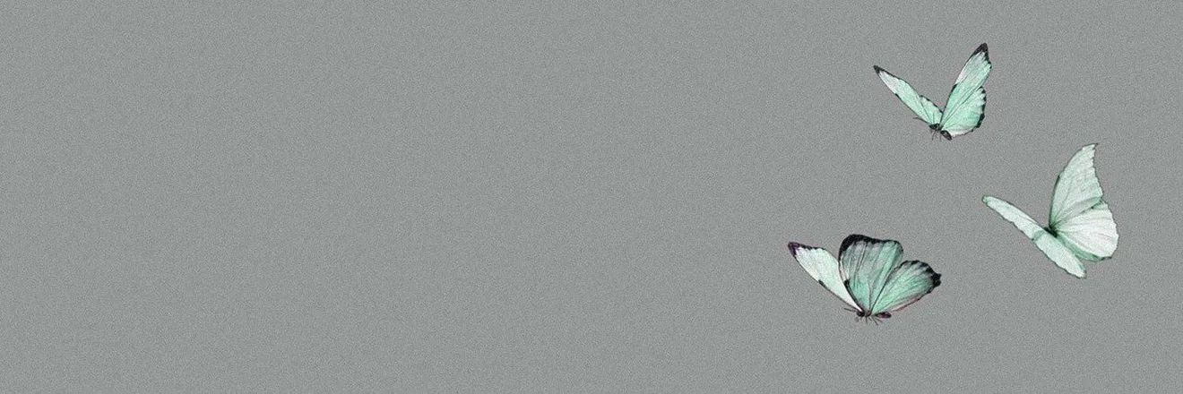OnlyFans cuenta butterflybomb header 2