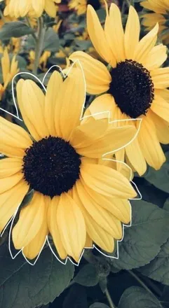 OnlyFans cuenta darlinggirl1998 header 2