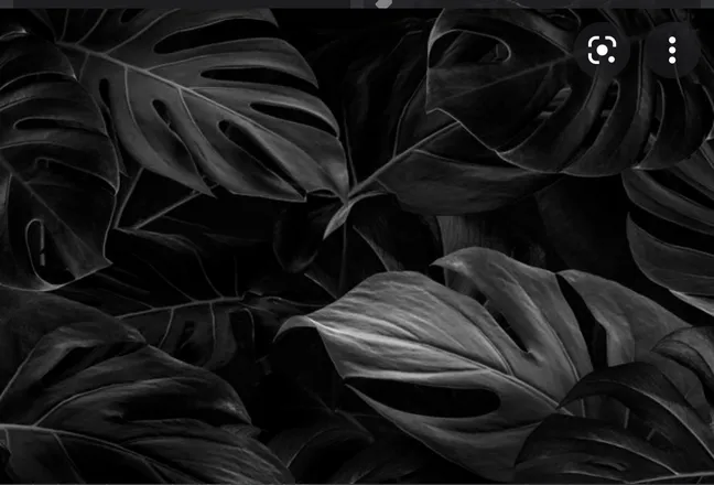 OnlyFans cuenta sarahwebb1252 header 2