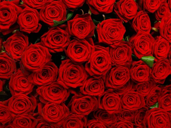 OnlyFans cuenta irixxx header 2