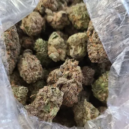 OnlyFans account  puffercannabisclub avatar 1