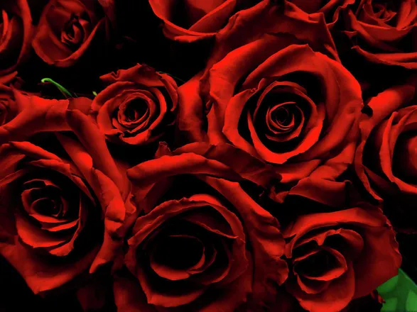 OnlyFans cuenta lovedbyadarose header 2
