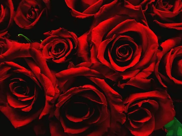 OnlyFans cuenta exoticdabrat header 2