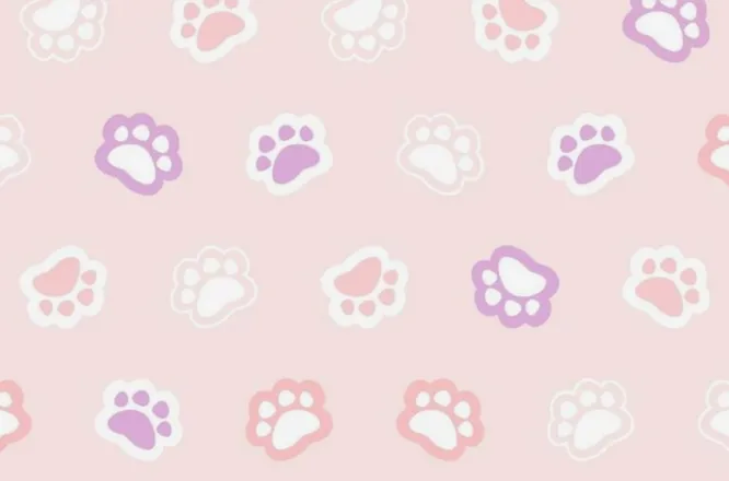OnlyFans cuenta honeydripdream header 2